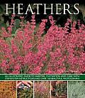Heathers: An Illustrated Guide to Varieties, Cultivation and Care, with Wtep-By-Step Instructions and Over 160 Beautiful Photogr