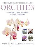 Practical Illustrated Encyclopedia of Orchids A Complete Guide to Orchids & Their Cultivation