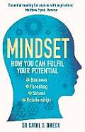 Mindset How You Can Fulfill Your Potential
