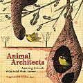 Animal Architects The Brilliant Builders of the Animal Kingdom