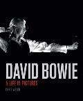 David Bowie A Life in Pictures
