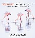 Wildlife Photography an Expert Guide