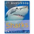 Handbook Sharks Identify & Record Your Sightings