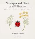 Needlepainted Plants & Pollinators An insect lovers guide to silk shading embroidery