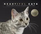 Beautiful Cats Portraits of champion breeds