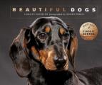 Beautiful Dogs Portraits of champion breeds