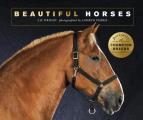 Beautiful Horses Portraits of champion breeds