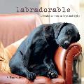 Labradorable Labradors at Home At Play & At Rest