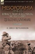 Mesopotamia 1914-15: Extracts from a Regimental Officer's Diary-With the Oxfordshire & Buckinghamshire Light Infantry during the First Worl