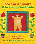 Bear in a Square Oso en un cuadrado biligual English Spanish