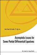 Asymptotic Issues for Some Partial Differential Equations