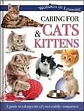 Wonders of Learning - Caring for Cats and Kittens