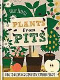 Plants from Pits How to Grow a Garden from Kitchen Scraps