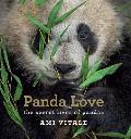 Panda Love The Secret Lives of Pandas