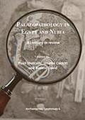 Palaeopathology in Egypt and Nubia: A Century in Review