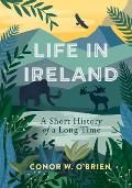 Life in Ireland A Short History of a Long Time