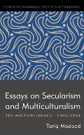 Essays on Secularism and Multiculturalism