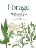 Forage Wild plants to gather & eat