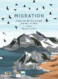 Migration Exploring the Remarkable Journeys of Birds