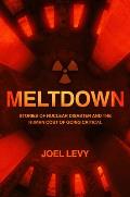 Meltdown Nuclear disaster & the human cost of going critical