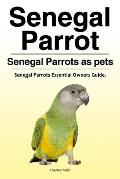 Senegal Parrot. Senegal Parrots as pets. Senegal Parrots Essential Owners Guide.