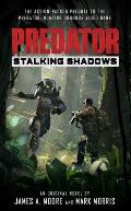 Predator Stalking Shadows