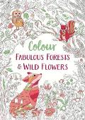 Colour Fabulous Forests & Wild Flowers