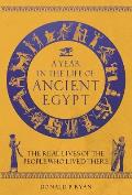 Year in the Life of Ancient Egypt The Real Lives of the People Who Lived There