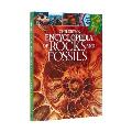 Childrens Encyclopedia of Rocks & Fossils