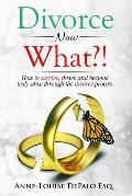 Divorce Now What?: How to Survive, Thrive and Become Fully Alive Through the Divorce Process