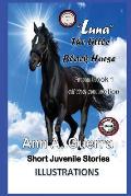 Luna-The Little Black Horse: Story No: 4 from Book 1 of the Collection