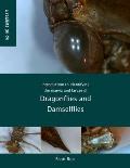 Introduction to identifying the exuvia and larvae of Dragonflies