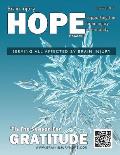 Brain Injury Hope Magazine - December 2018