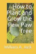 How to Plant and Grow the Paw Paw Tree