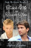 Teach Me to Touch You: Teach Me Series, Novella 1