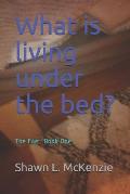 What Is Living Under the Bed?: The Fae: Book One