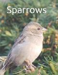 Sparrows: Senior reader study bible reading in extra-large print for memory care with colorful photos, reminiscence questions, a