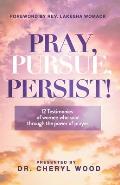 Pray, Pursue, Persist: 12 Testimonies of Women Who Soar Through the Power of Prayer