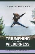 Triumphing in the Wilderness: A Guide to Overcoming Stumbling Blocks at the Edge of Breakthroughs
