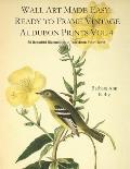 Wall Art Made Easy: Ready to Frame Vintage Audubon Prints Vol 4: 30 Beautiful Illustrations to Transform Your Home