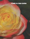 A Walk in a Rose Garden: A senior reader picture book for memory care / dementia care