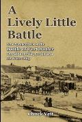 A Lively Little Battle: New Perspectives on the Battle of Fort Butler, Donaldsonville, Louisiana, 28 June 1863