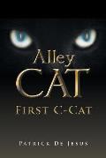 Alley Cat: First C-Cat