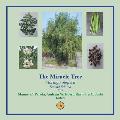 The Miracle Tree: Moringa Oleifera