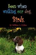 Seen When Walking Our Dog.: Birds.