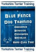 Yorkshire Terrier Training By Blue Fence DOG Training, Obedience - Behavior - Commands - Socialize - Hand Cues Too. Yorkshire Terrier Training