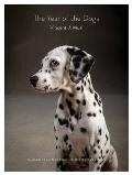 The Year of the Dogs Notecards: (16 Dog Portrait Correspondence Cards, Dog Lovers Photography Notecards)