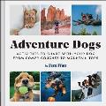 Adventure Dogs Activities to Share with Your Dogfrom Comfy Couches to Mountain Tops