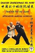 Shaolin Tradizionale del Nord Vol.14: Shaolin Hei Hu Quan - Applicazioni Marziali Avanzate