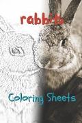 Rabbit Coloring Sheets: 30 Rabbit Drawings, Coloring Sheets Adults Relaxation, Coloring Book for Kids, for Girls, Volume 2